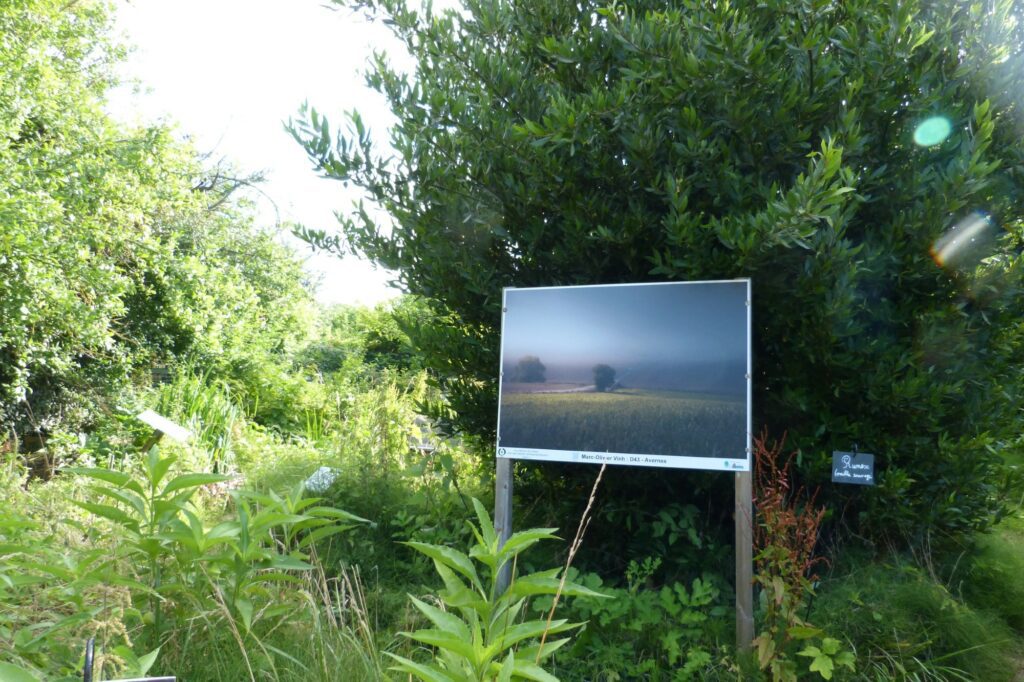 Eco-Refuge-Douaye-Gaillon-sur-Montcient (5)